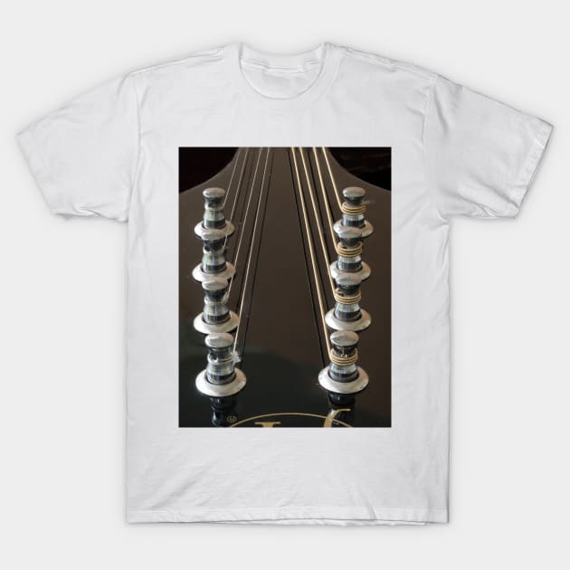 Mandolin T-Shirt by joesaladino